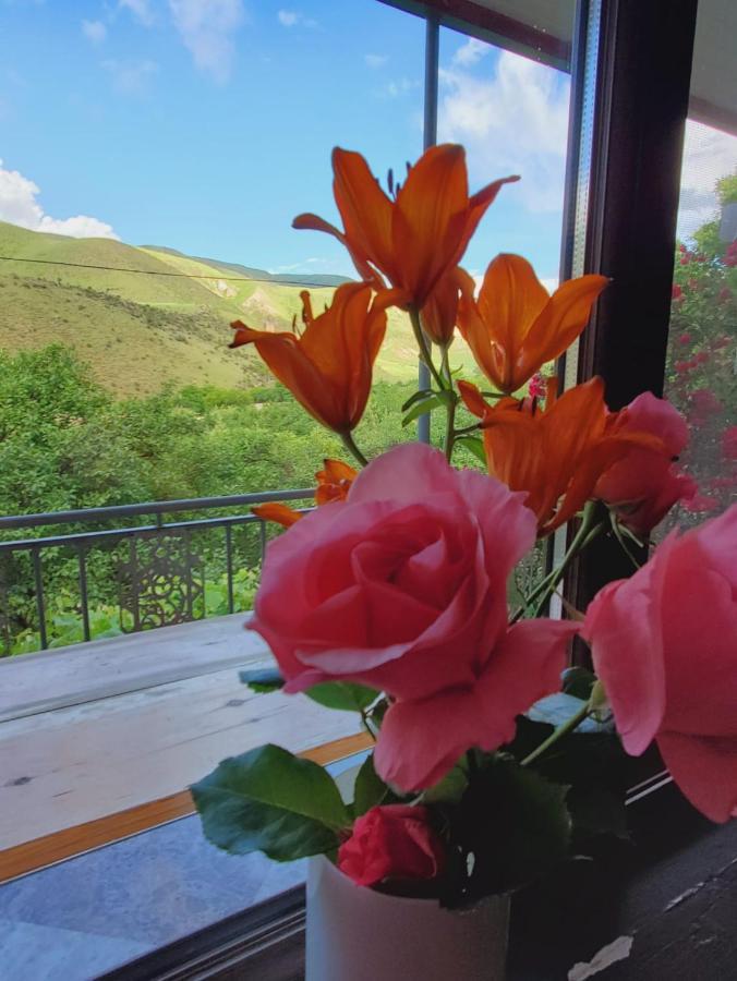 Guesthouse Mtkvari Nakalakevi Buitenkant foto